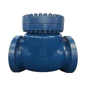 Check Valves