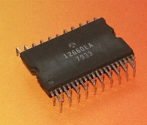 electronic chip