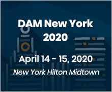 DAM New York 2020
