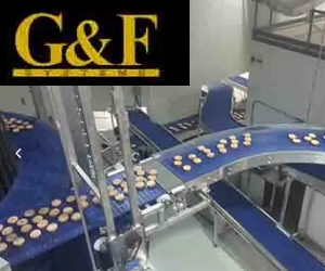 G&F Systems Inc