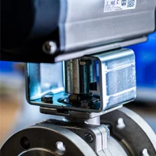 Pneumatic Actuators