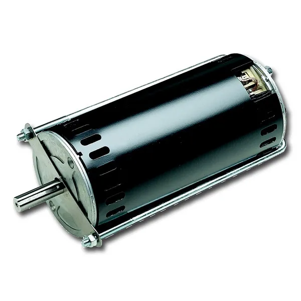 DC Brushed Motors