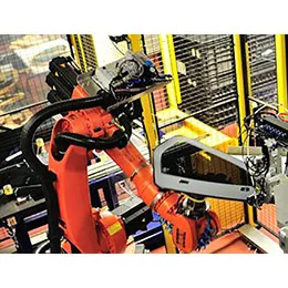Large Robot Dispensing System