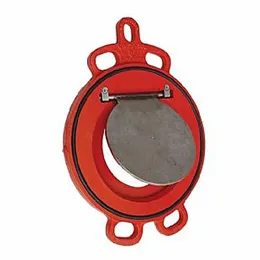 Swing check valves Series 800