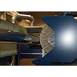 Robotic Buffing Machines