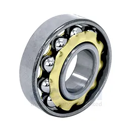 Magneto Bearing
