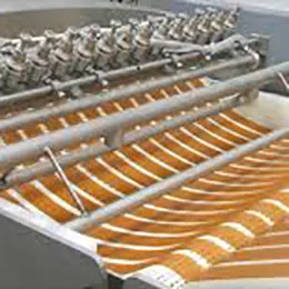 bch fruit evaporators