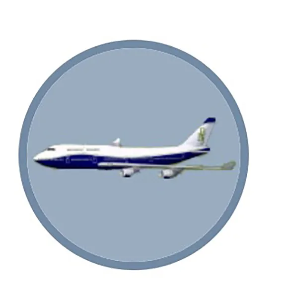 Inflight Water Disinfection Systems
