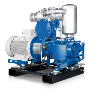 BIOGAS COMPRESSOR SERIES C