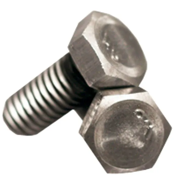 Hex Cap Screw Plain