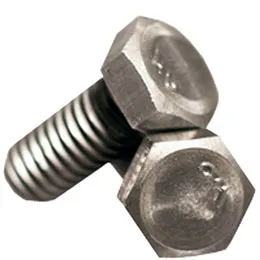 Hex Cap Screw Plain
