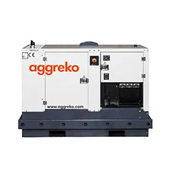 Canopy Diesel Generator DG