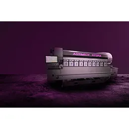 Hydra Multi-Head Weighing System