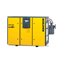Kaeser Rotary Vacuum Screws 165-555 CFM