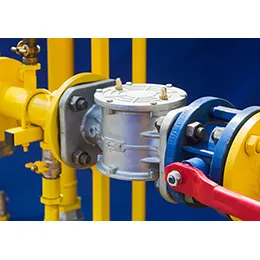 GAS CONTROLS