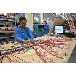 Wire & Cable Harness