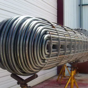 Immersion Heaters
