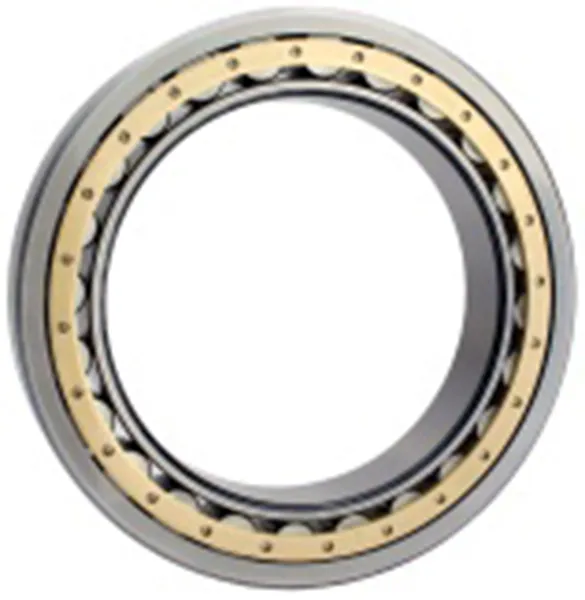 Single Row Cylindrical Roller Bearings