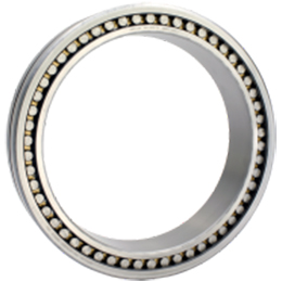 Double Row or Two Row cylindrical roller bearings