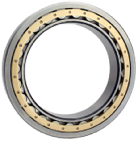 Single Row Cylindrical Roller Bearings