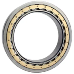 Single Row Cylindrical Roller Bearings