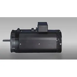 DH motor series
