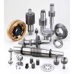 Worms Gears