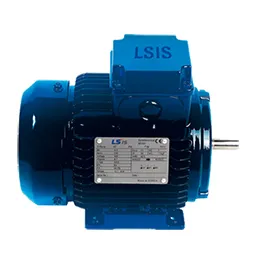 Permanent Magnet Motor