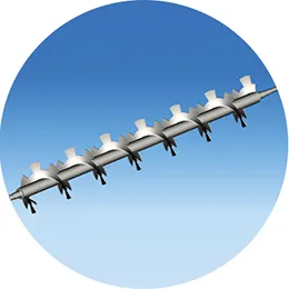 Screw conveyor with external cut -paddles