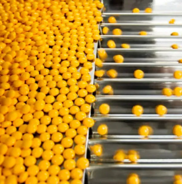 Pharmaceutical Production
