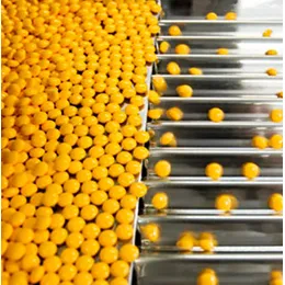 Pharmaceutical Production