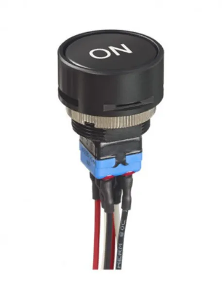 Pushbutton Switches WP series