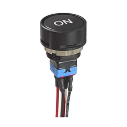 Pushbutton Switches WP series