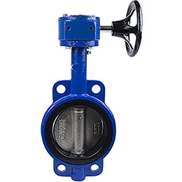 Valves & Accessories