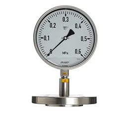 INDUSTRIAL PRESSURE GAUGE WITH DIAPHRAGM SEAL