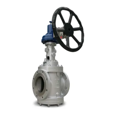 Dual Expanding Plug Valves