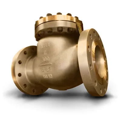 Marine Check valves