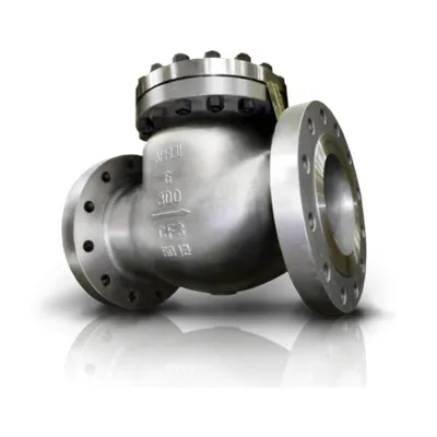 Petrochemical Check valves