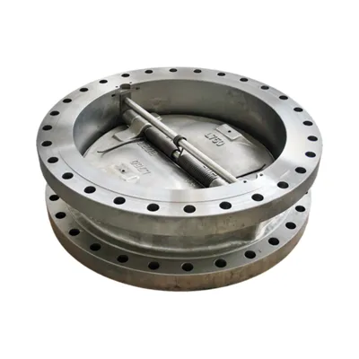 Water Division Check valves