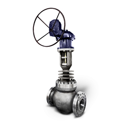 Water Division Globe Control valves