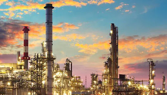 Pressure and Safety Relief Valves