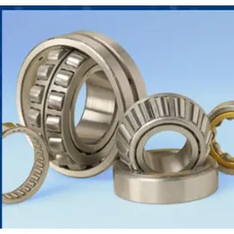 Roller Bearings