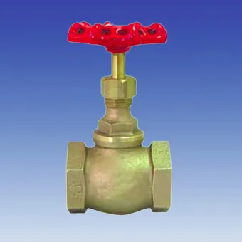 Bronze Globe Valve-BZ-201