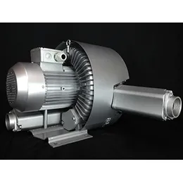 Regenerative Blowers