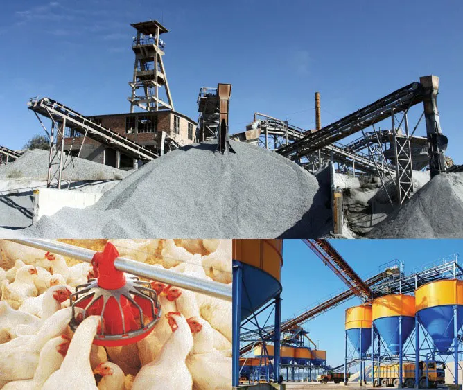 Material Handling|Projects|feeding and handling