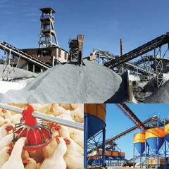 Automated Material Handling Project