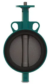 INTERAPP DESPONIA WAFER D1 BUTTERFLY VALVE