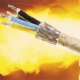 Wires-Cables for Extreme Temperatures