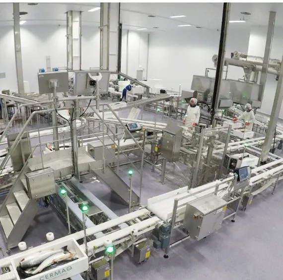 Packing Lines and Equipment