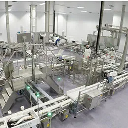 Packing Lines and Equipment